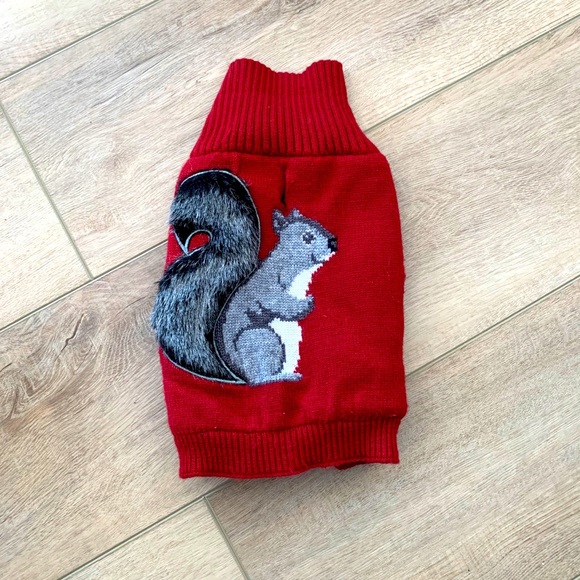 squirrel dog sweater